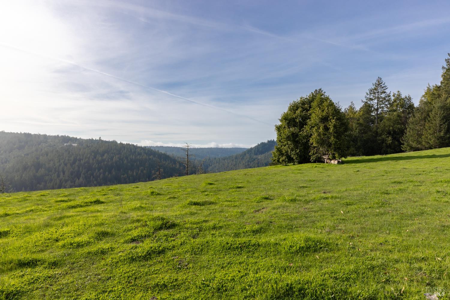 38555 Hauser Bridge Road Cazadero CA 95421