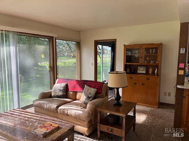 38555 Hauser Bridge Road Cazadero CA 95421