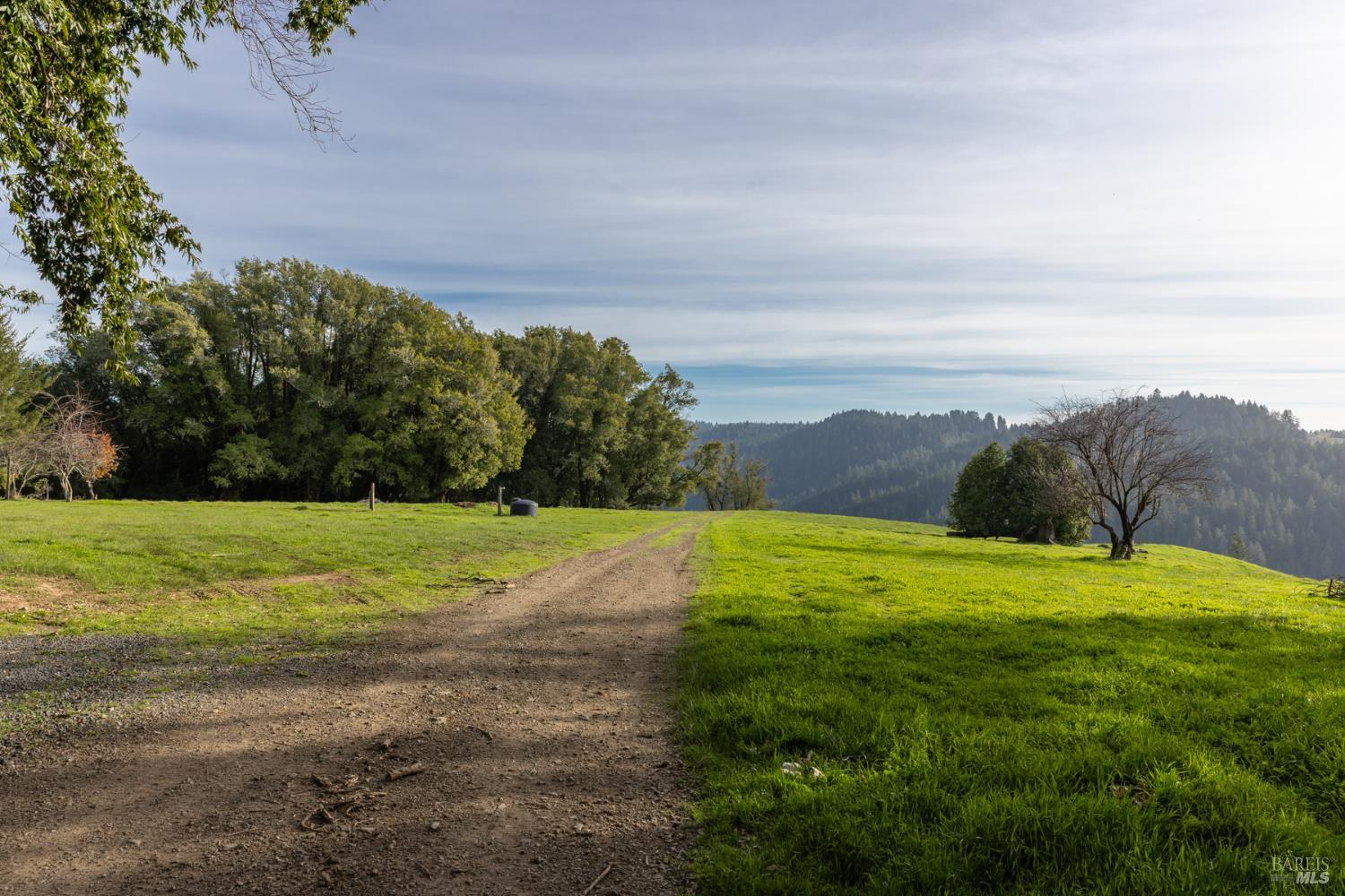 38555 Hauser Bridge Road Cazadero CA 95421