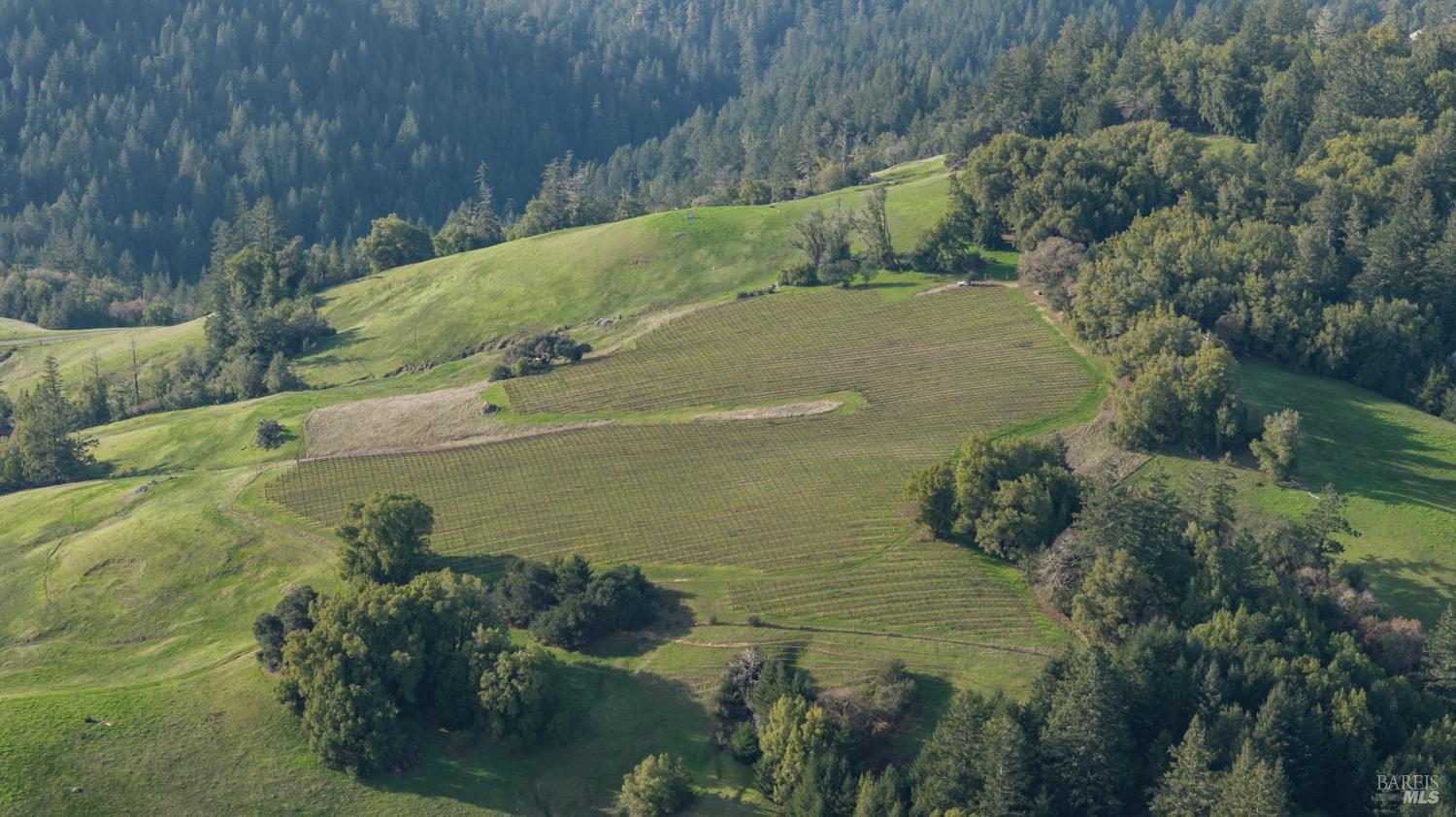 38555 Hauser Bridge Road Cazadero CA 95421