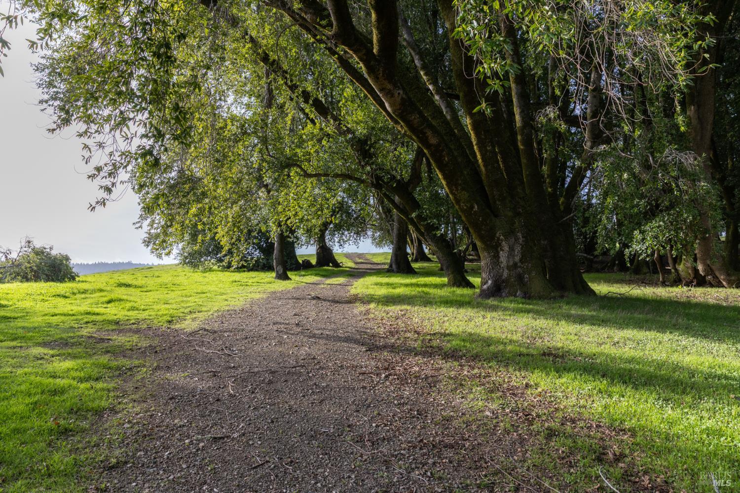 38555 Hauser Bridge Road Cazadero CA 95421