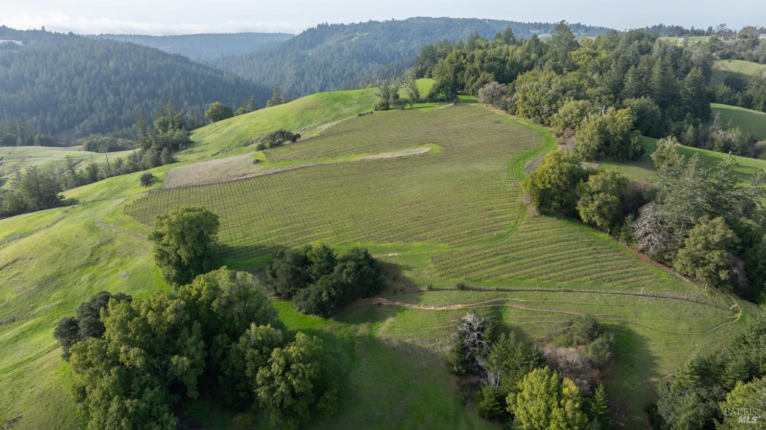 38555 Hauser Bridge Road Cazadero CA 95421