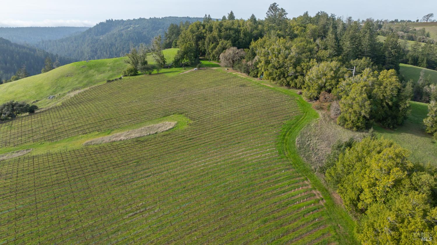 38555 Hauser Bridge Road Cazadero CA 95421