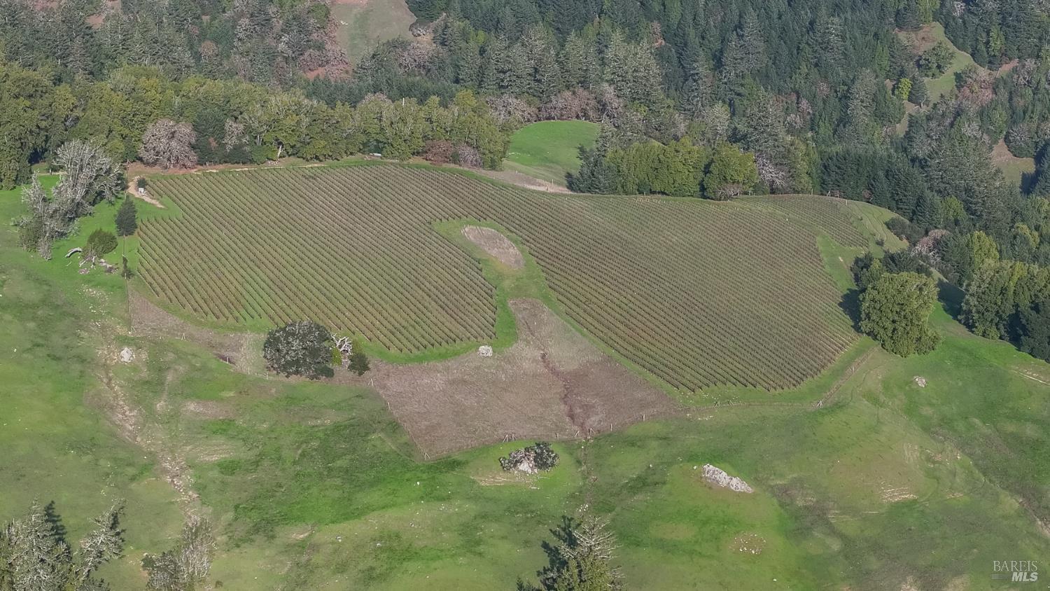 38555 Hauser Bridge Road Cazadero CA 95421