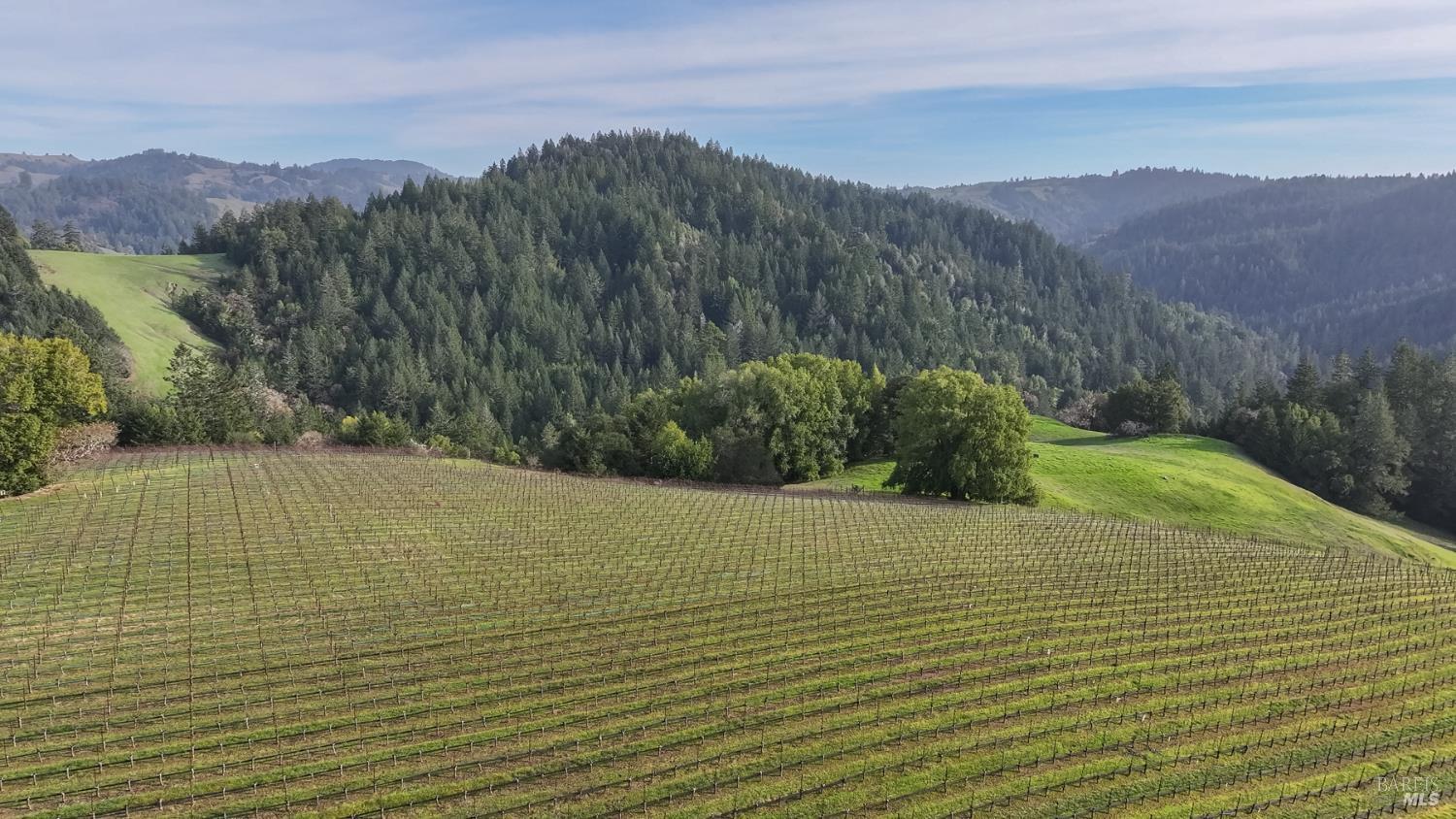 38555 Hauser Bridge Road Cazadero CA 95421
