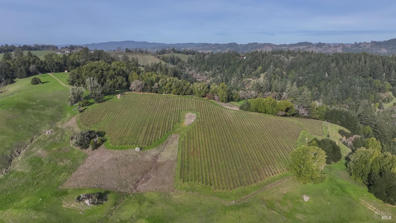 38555 Hauser Bridge Road Cazadero CA 95421