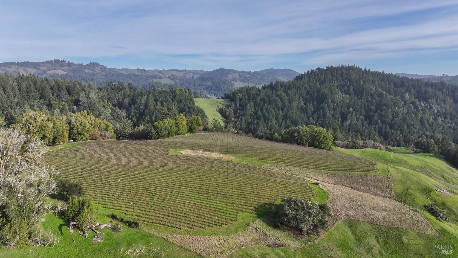 38555 Hauser Bridge Road Cazadero CA 95421