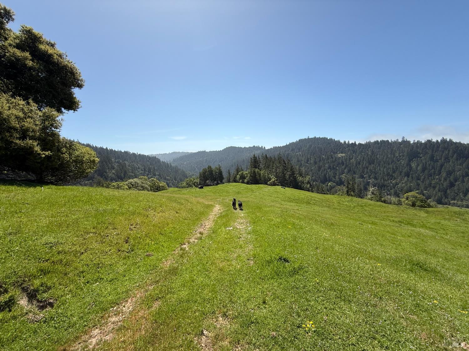 38555 Hauser Bridge Road Cazadero CA 95421