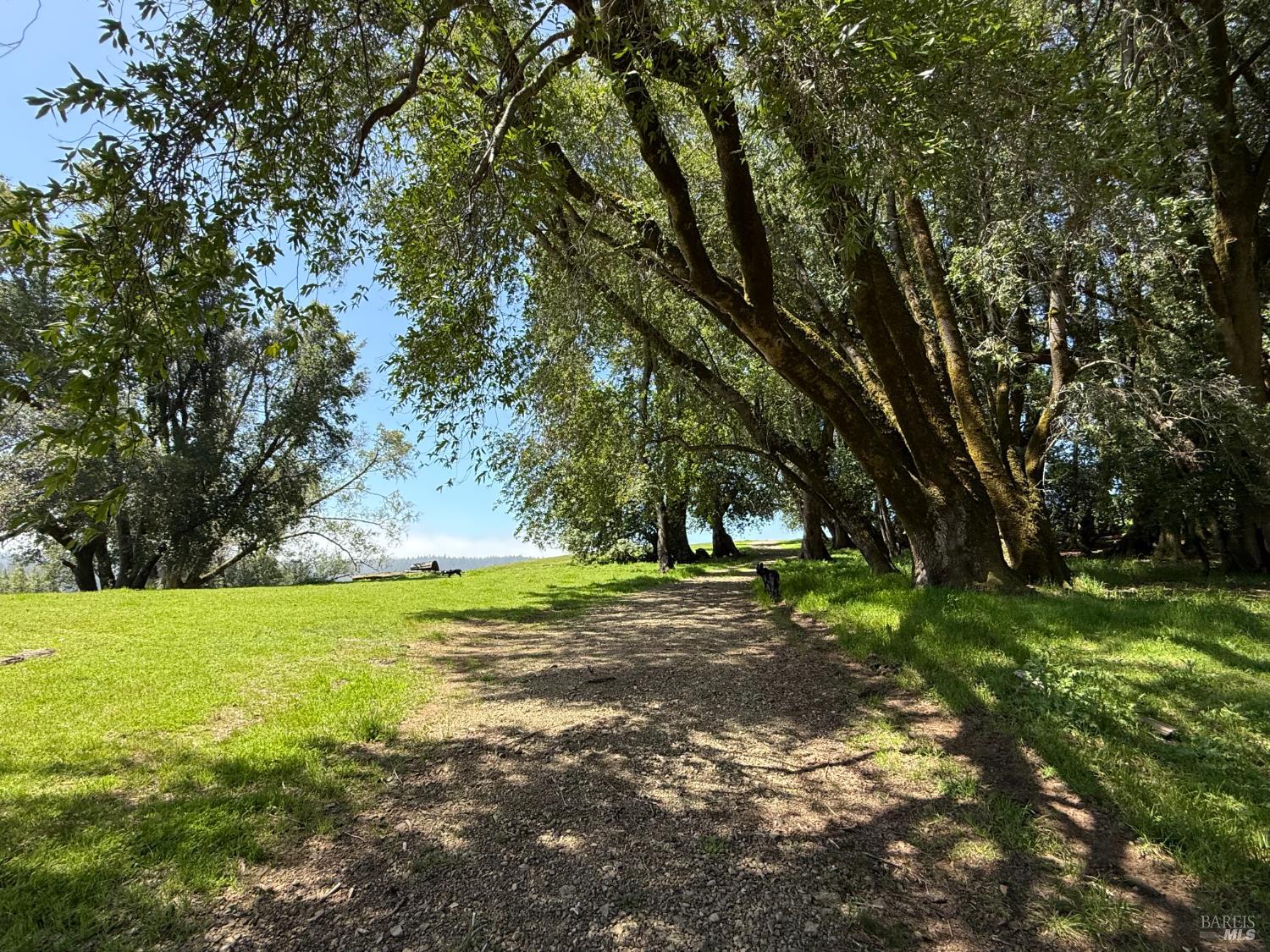 38555 Hauser Bridge Road Cazadero CA 95421
