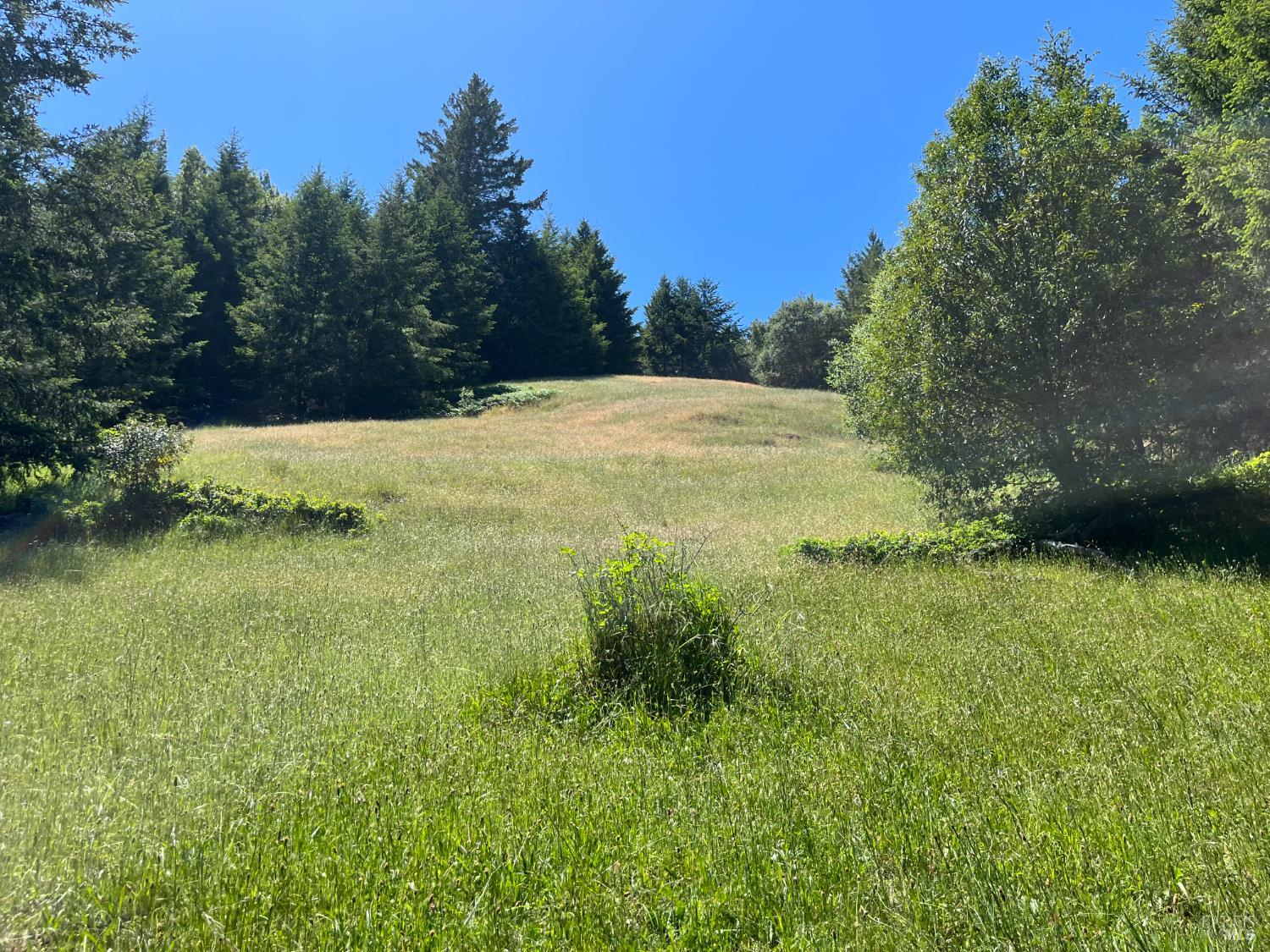 38555 Hauser Bridge Road Cazadero CA 95421