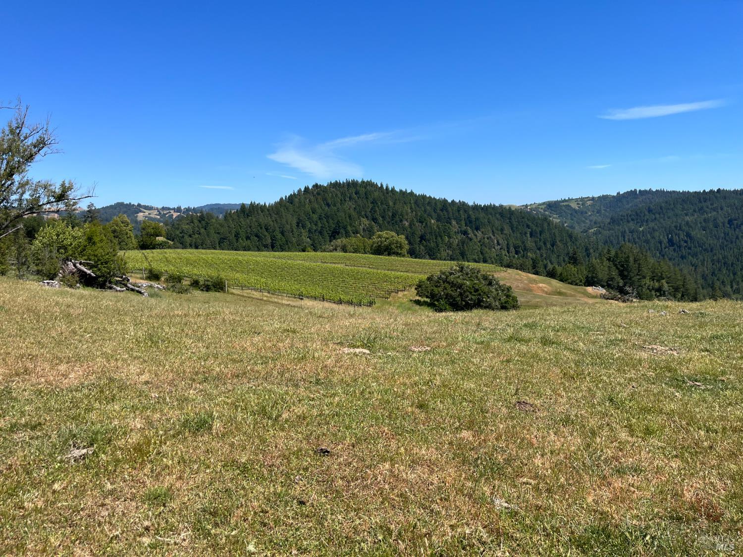 38555 Hauser Bridge Road Cazadero CA 95421