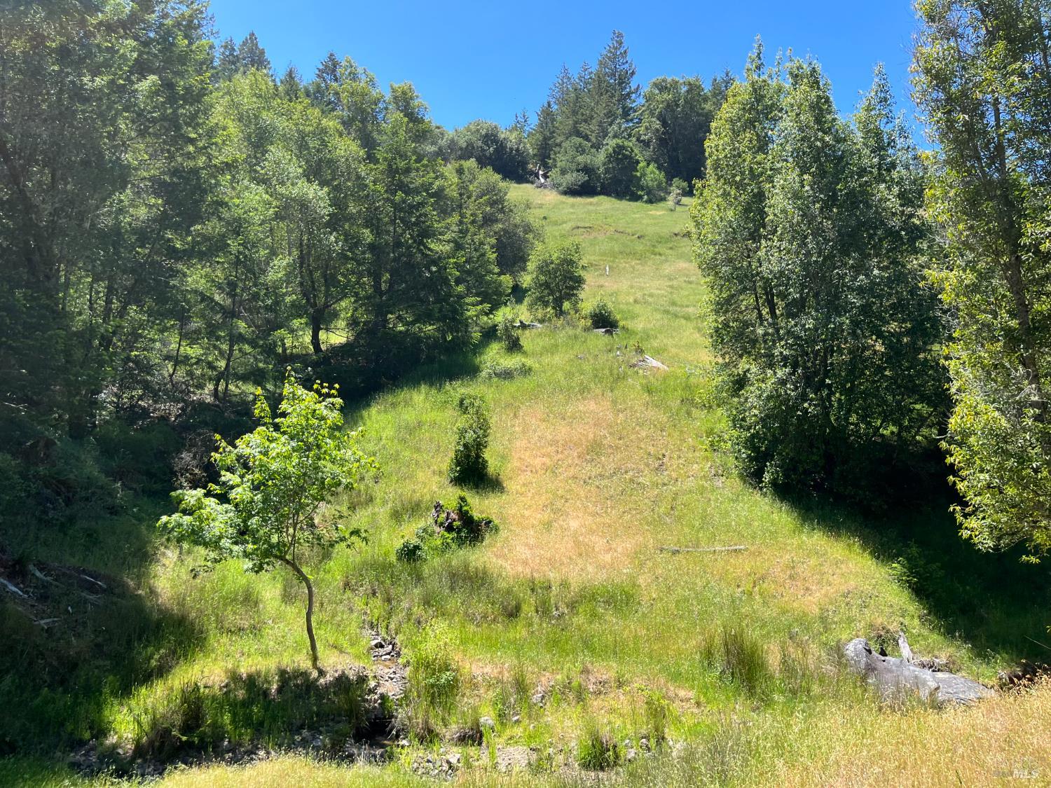 38555 Hauser Bridge Road Cazadero CA 95421
