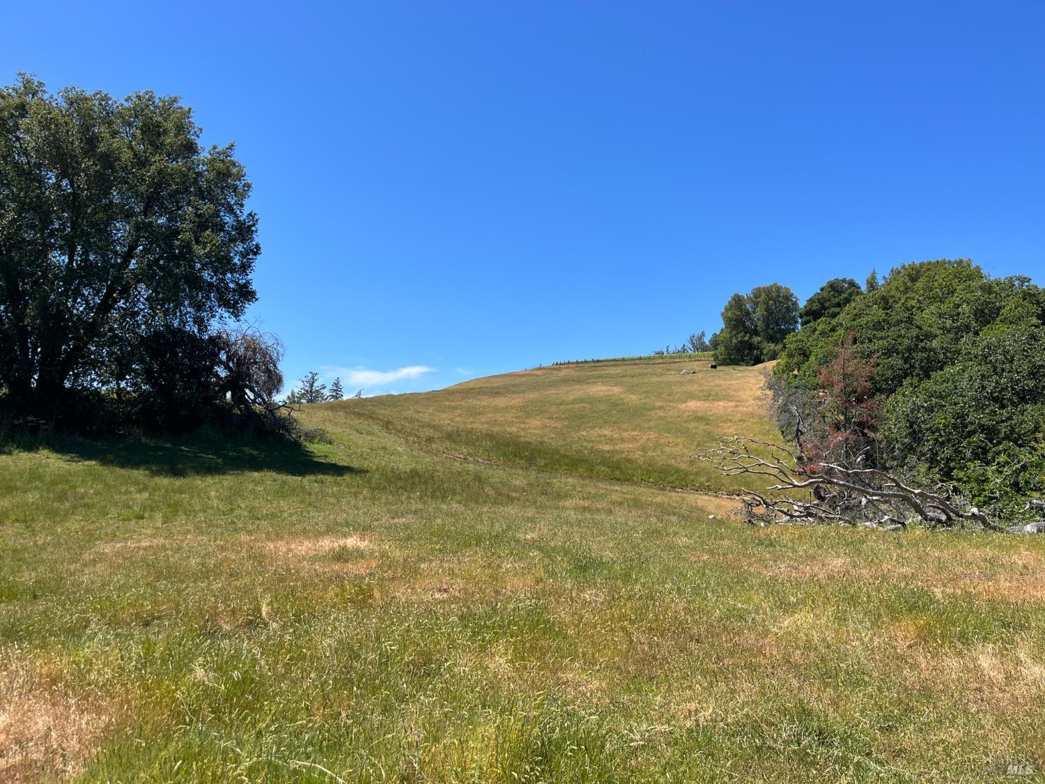 38555 Hauser Bridge Road Cazadero CA 95421