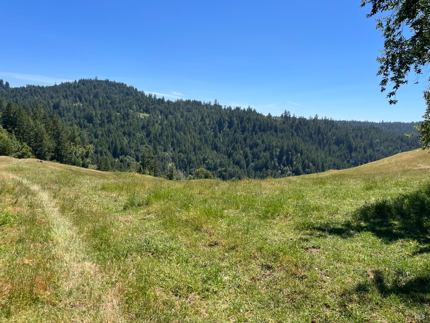 38555 Hauser Bridge Road Cazadero CA 95421