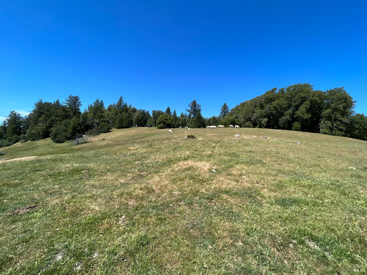 38555 Hauser Bridge Road Cazadero CA 95421
