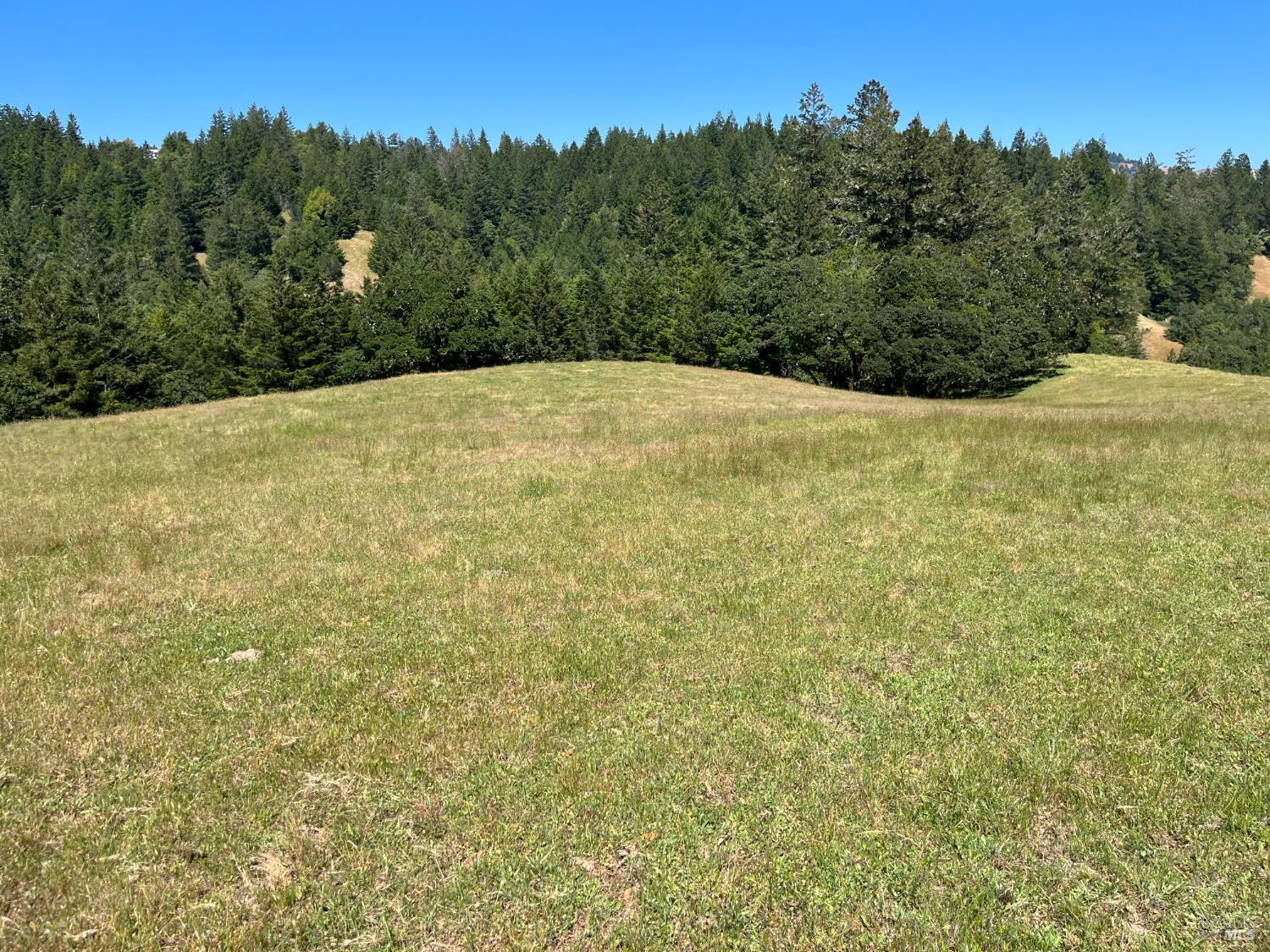 38555 Hauser Bridge Road Cazadero CA 95421