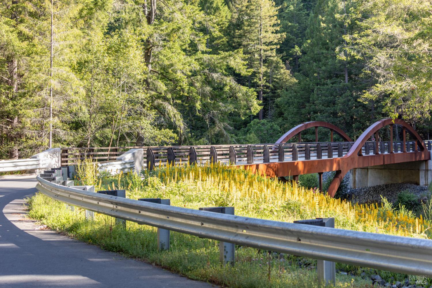38555 Hauser Bridge Road Cazadero CA 95421