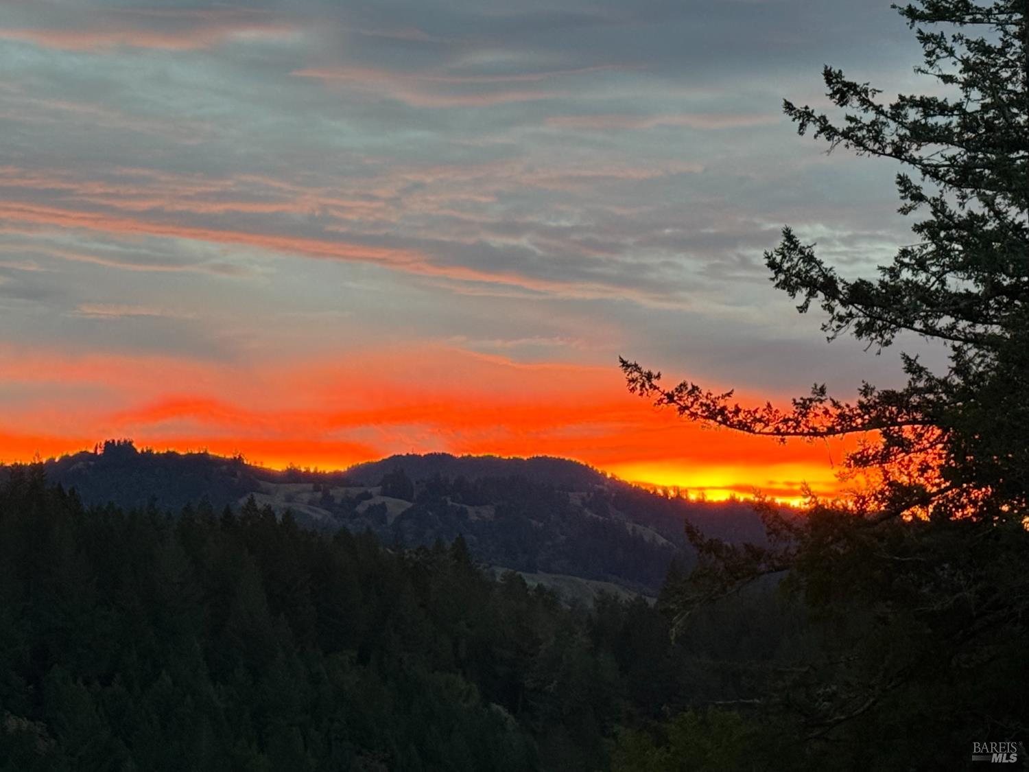38555 Hauser Bridge Road Cazadero CA 95421