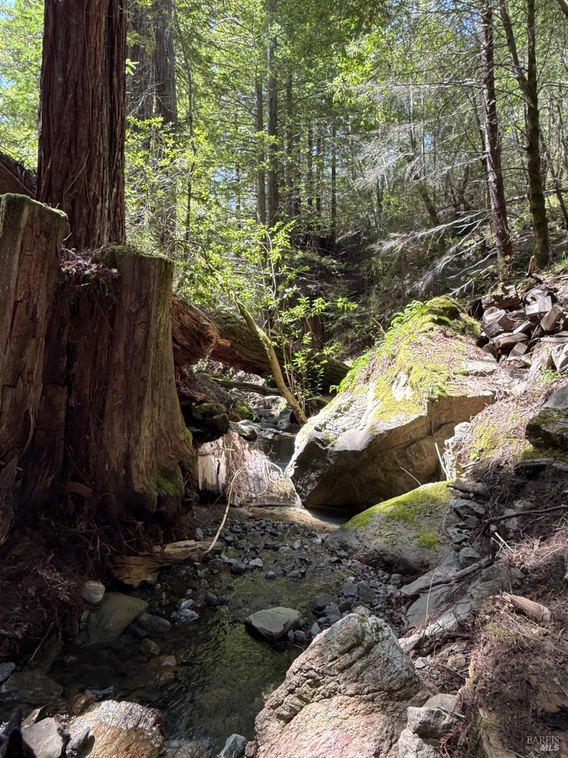 38555 Hauser Bridge Road Cazadero CA 95421