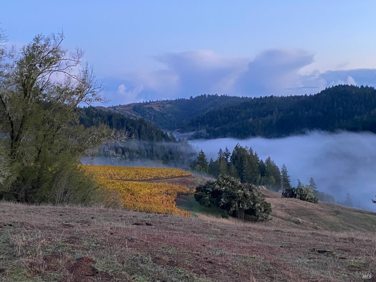 38555 Hauser Bridge Road Cazadero CA 95421