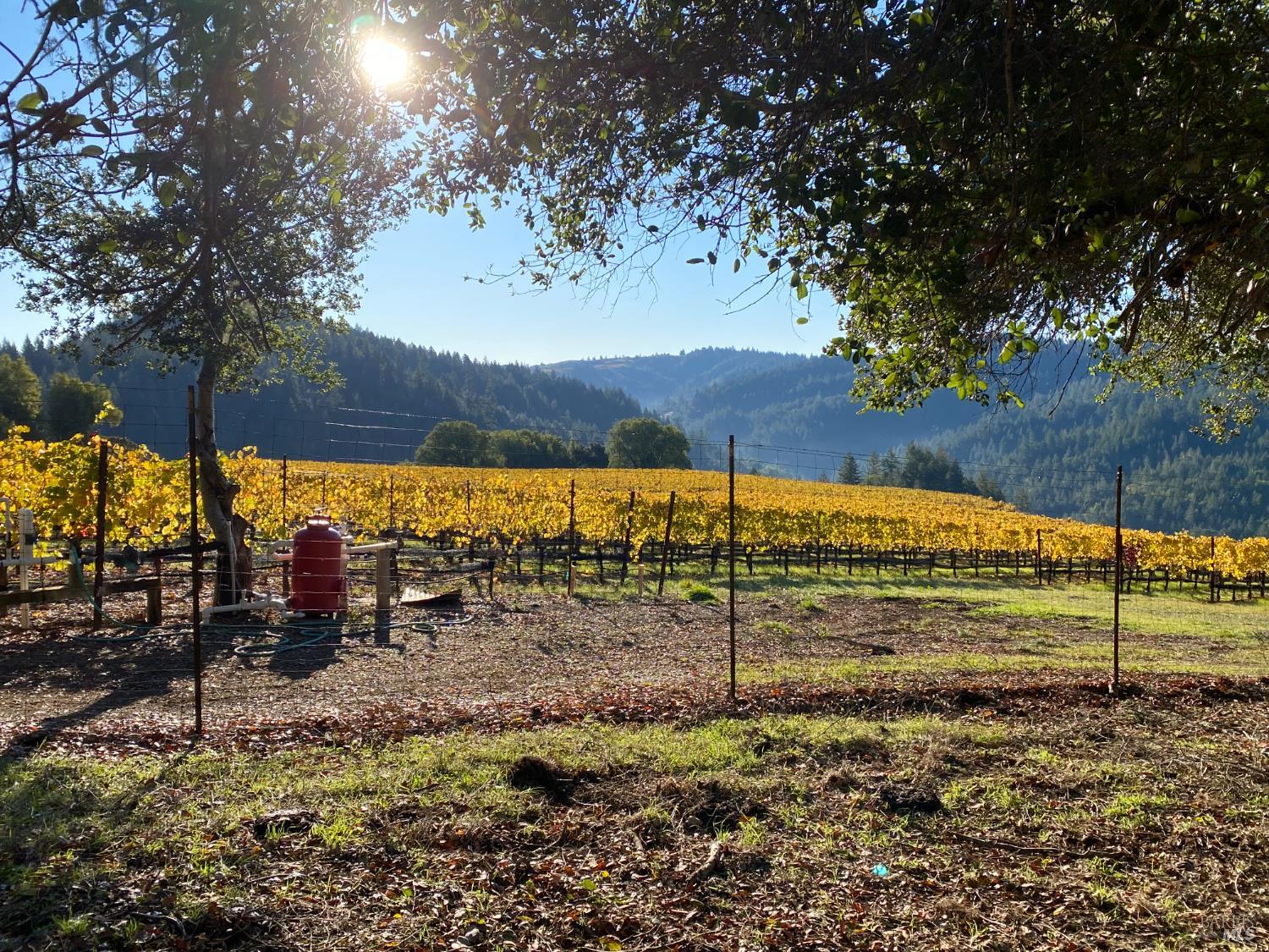 38555 Hauser Bridge Road Cazadero CA 95421