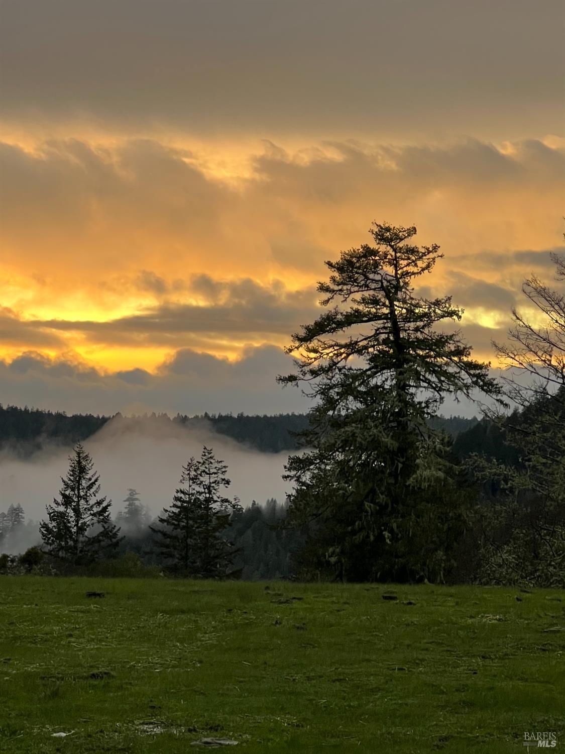 38555 Hauser Bridge Road Cazadero CA 95421