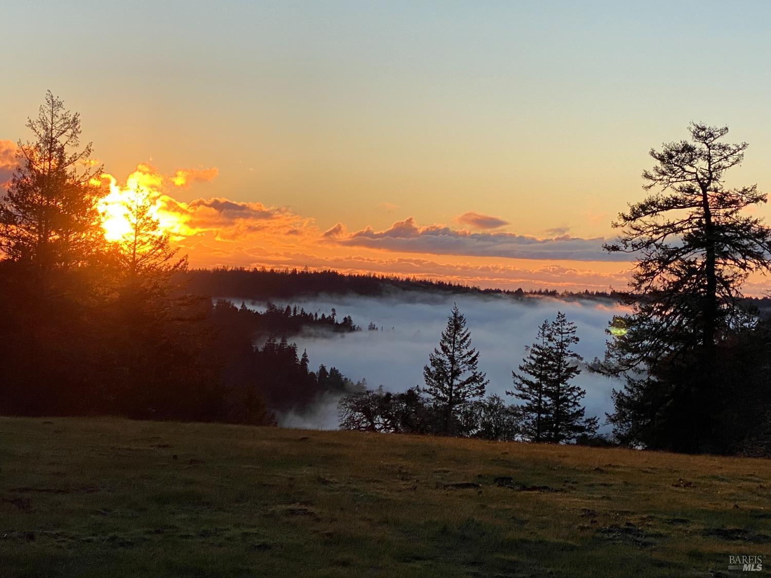 38555 Hauser Bridge Road Cazadero CA 95421