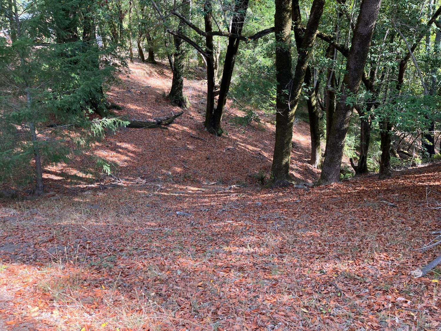 38555 Hauser Bridge Road Cazadero CA 95421