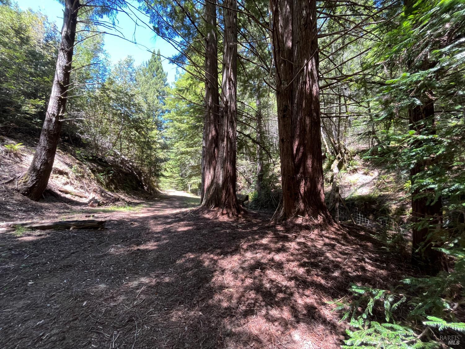 38555 Hauser Bridge Road Cazadero CA 95421
