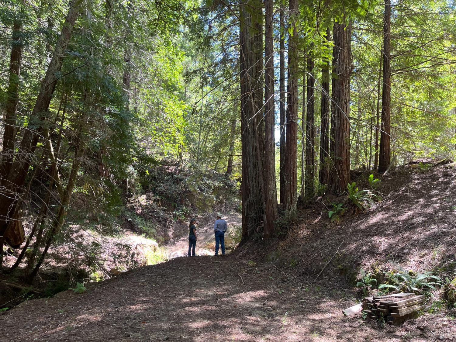 38555 Hauser Bridge Road Cazadero CA 95421