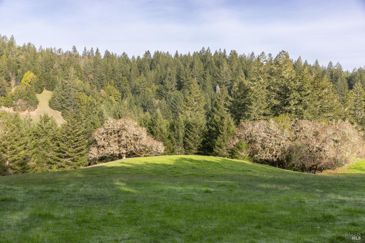 38555 Hauser Bridge Road Cazadero CA 95421