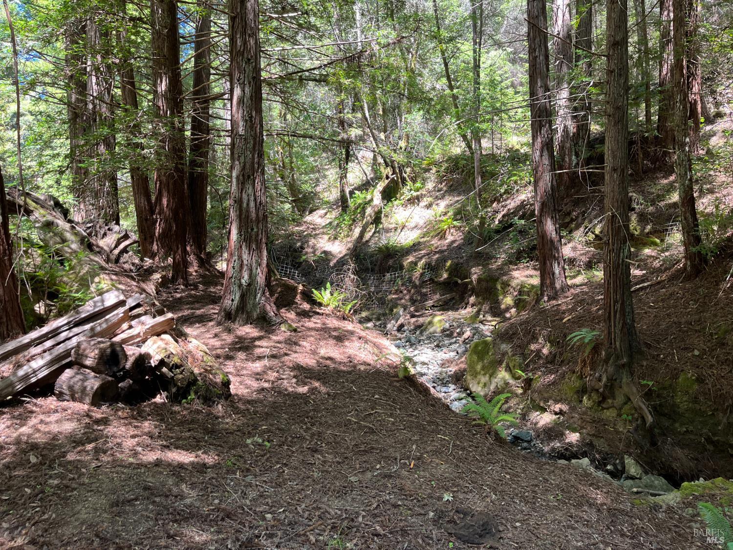38555 Hauser Bridge Road Cazadero CA 95421