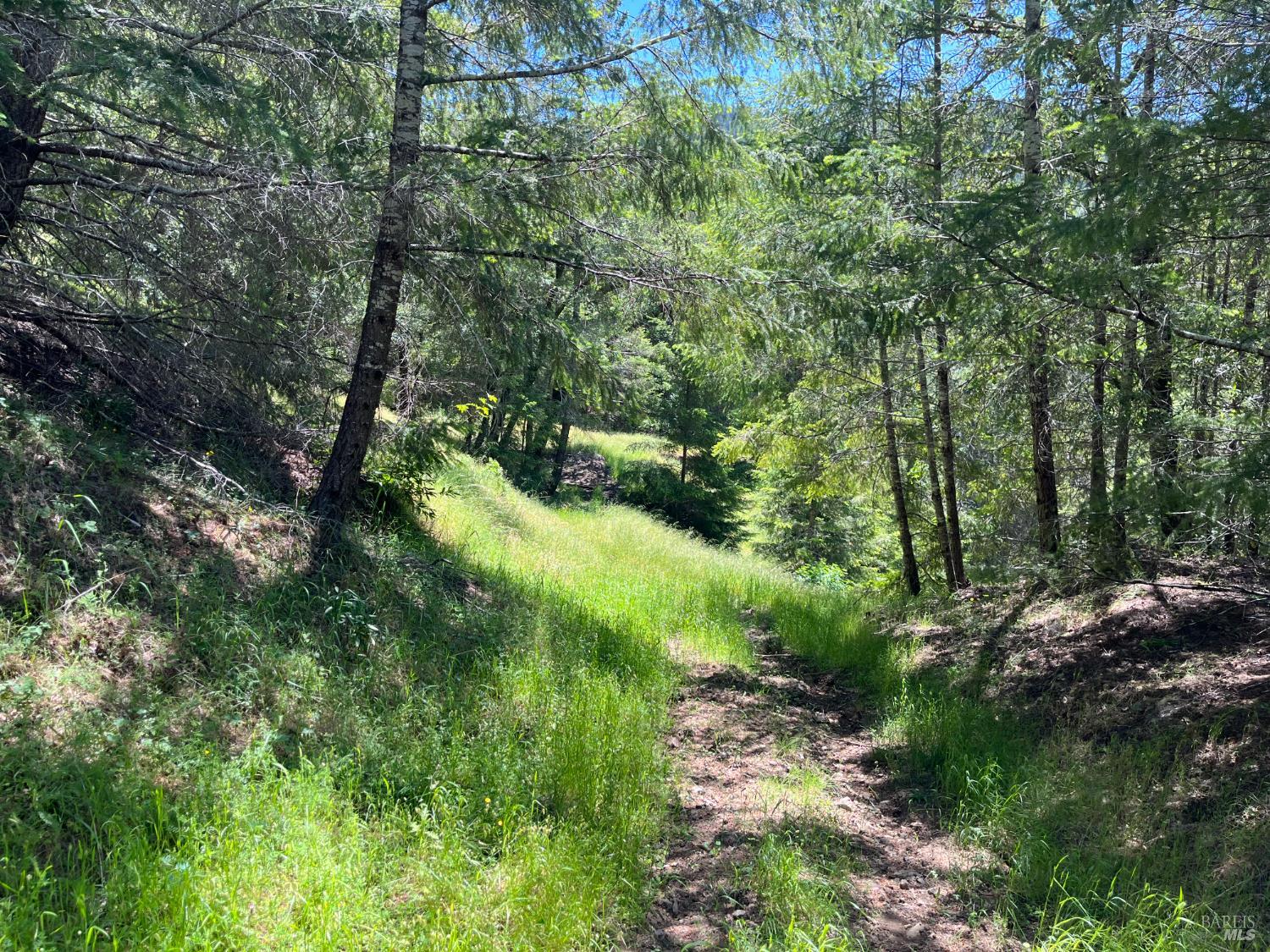 38555 Hauser Bridge Road Cazadero CA 95421