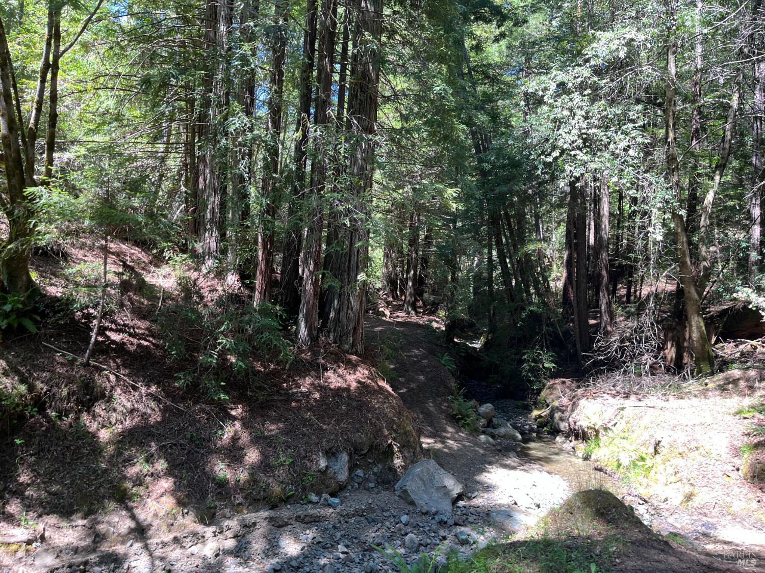 38555 Hauser Bridge Road Cazadero CA 95421