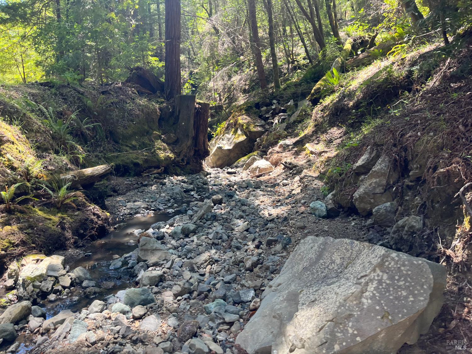 38555 Hauser Bridge Road Cazadero CA 95421