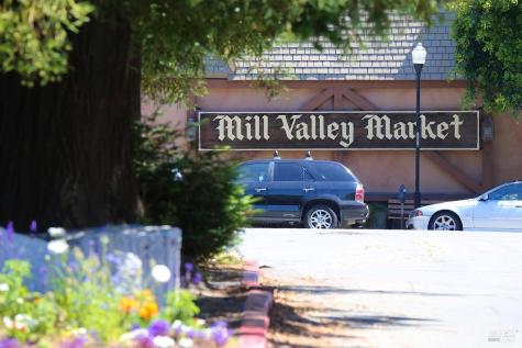 419 Laverne Avenue Mill Valley CA 94941