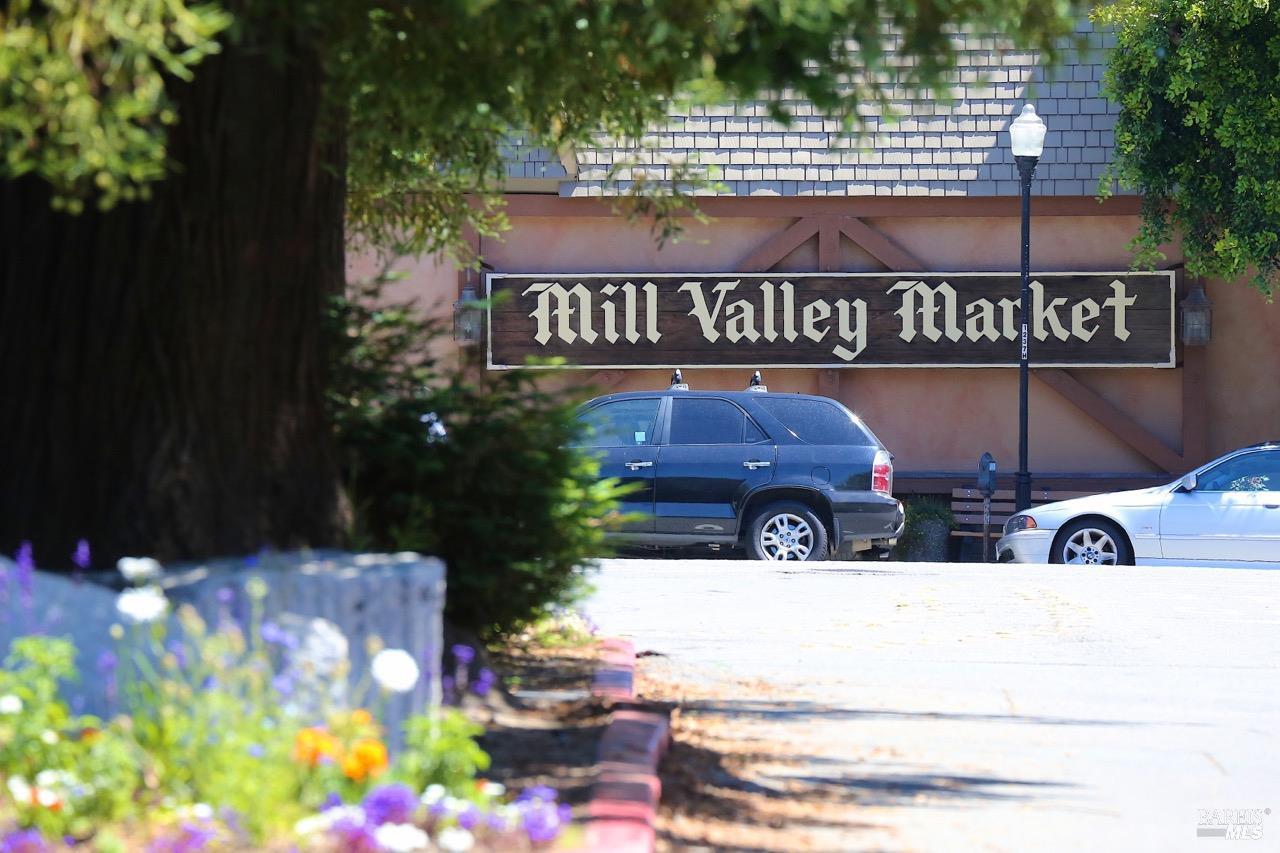 419 Laverne Avenue Mill Valley CA 94941
