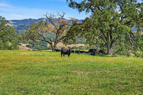 5520-2 W Soda Rock Lane Healdsburg CA 95448