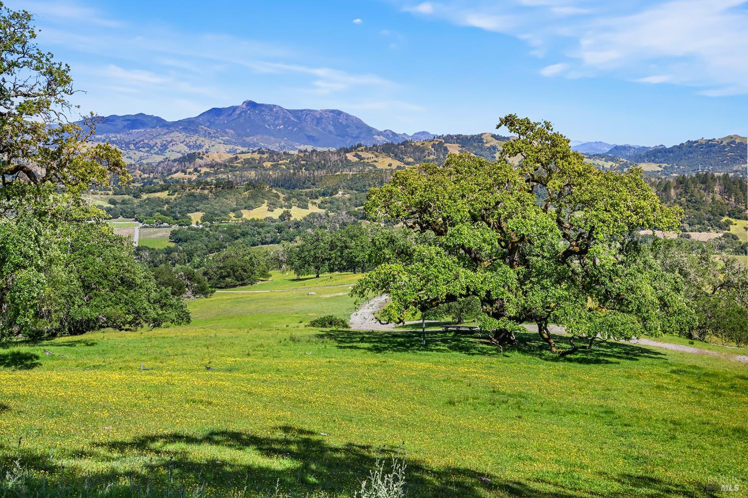5520-2 W Soda Rock Lane Healdsburg CA 95448