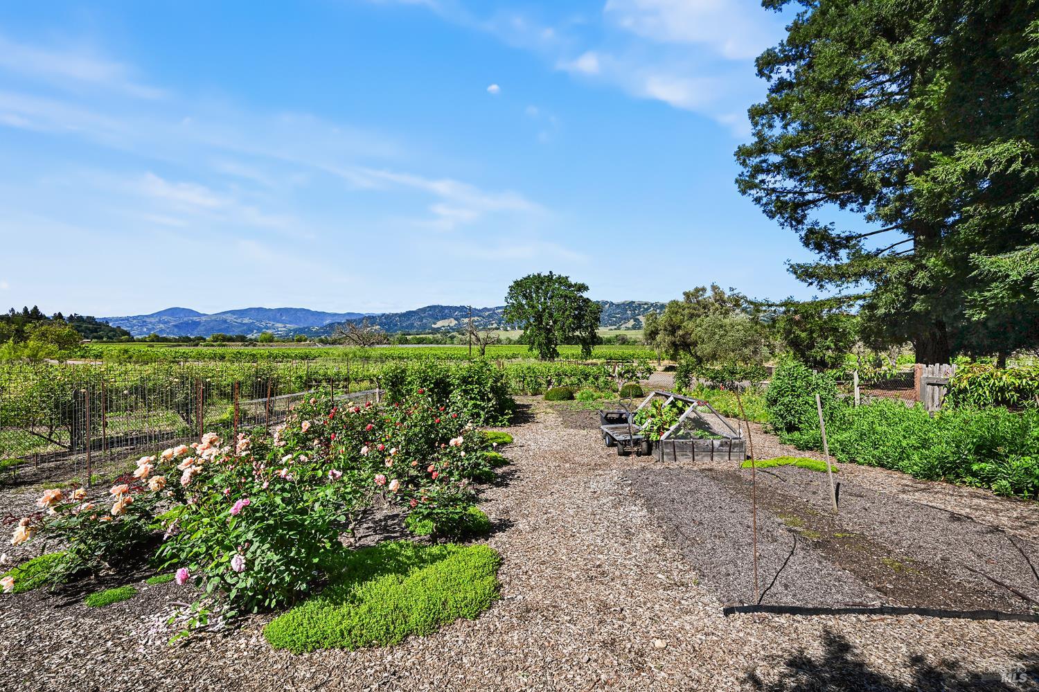 5520-2 W Soda Rock Lane Healdsburg CA 95448