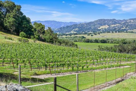 5520-2 W Soda Rock Lane Healdsburg CA 95448