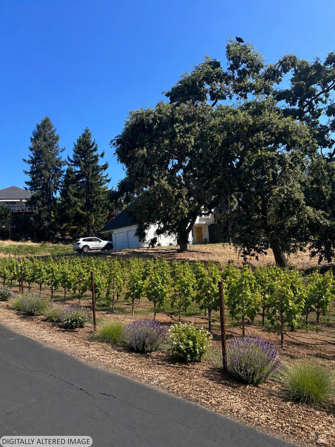 530 Bronwyn Glen Santa Rosa CA 95409