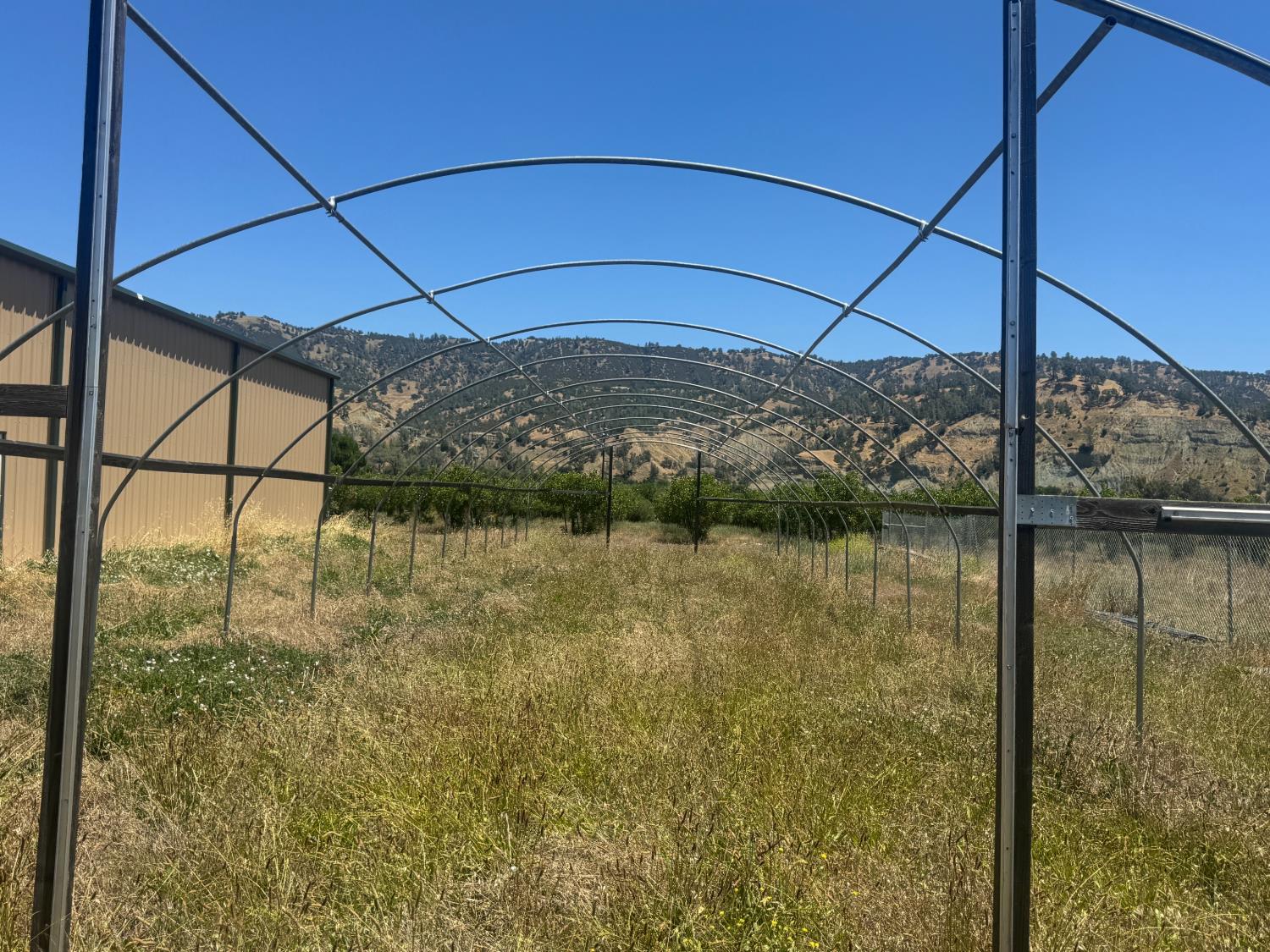15185 County Road 42 Guinda CA 95637