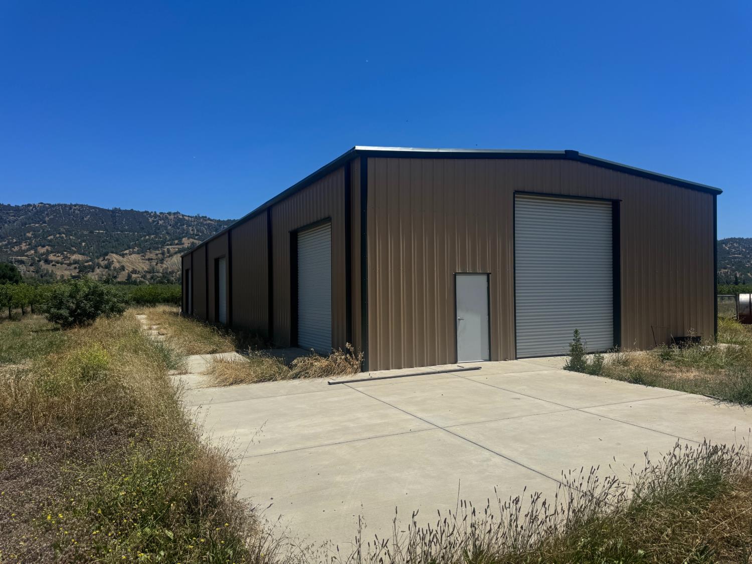 15185 County Road 42 Guinda CA 95637