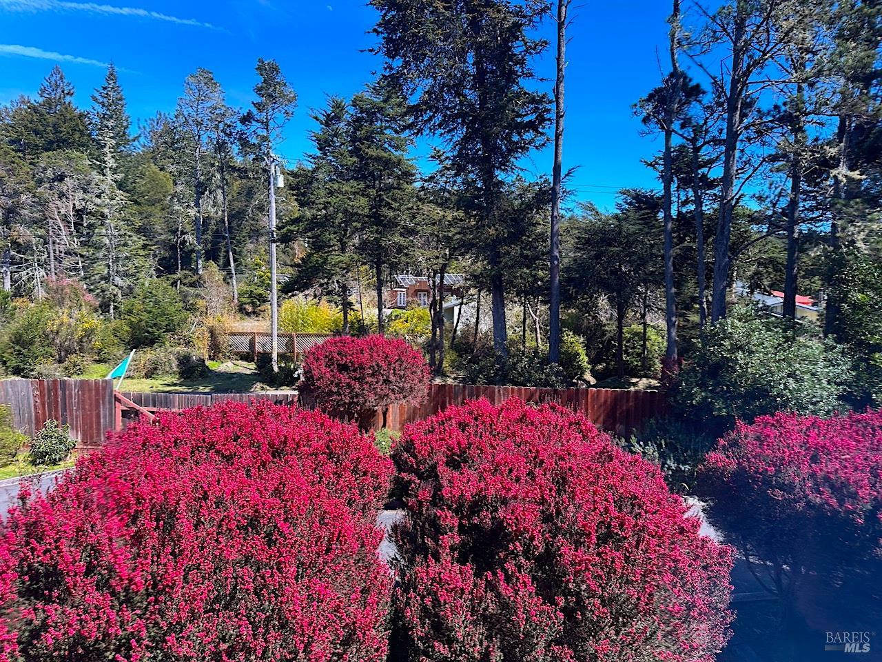 10360 Gary Lane Mendocino CA 95460