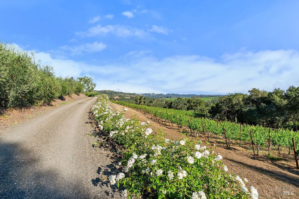 5232 Maacama Ridge Road Healdsburg CA 95448