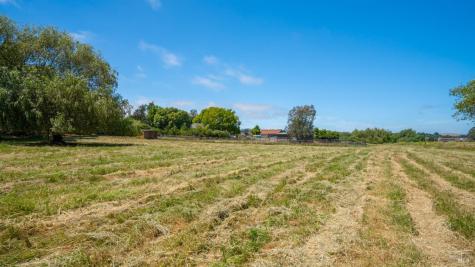4898 Bodega Avenue Petaluma CA 94952