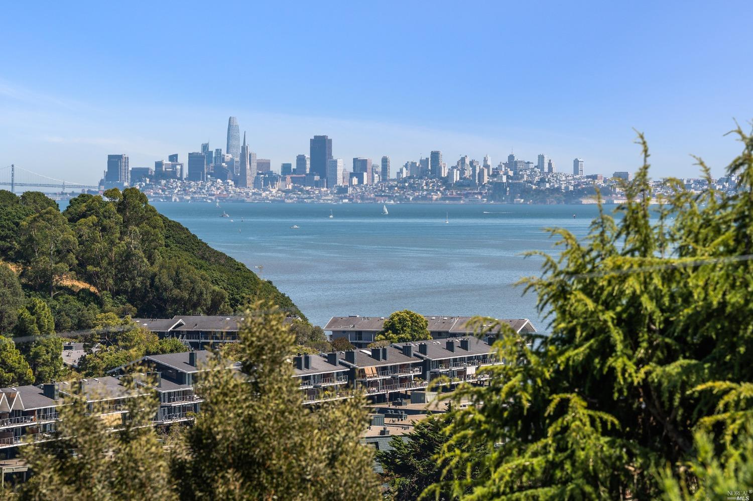 36 Bay Vista Drive Mill Valley CA 94941