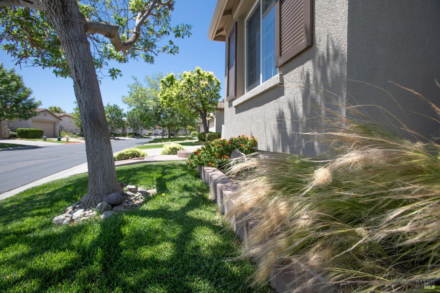 339 Brockton Place Rio Vista CA 94571