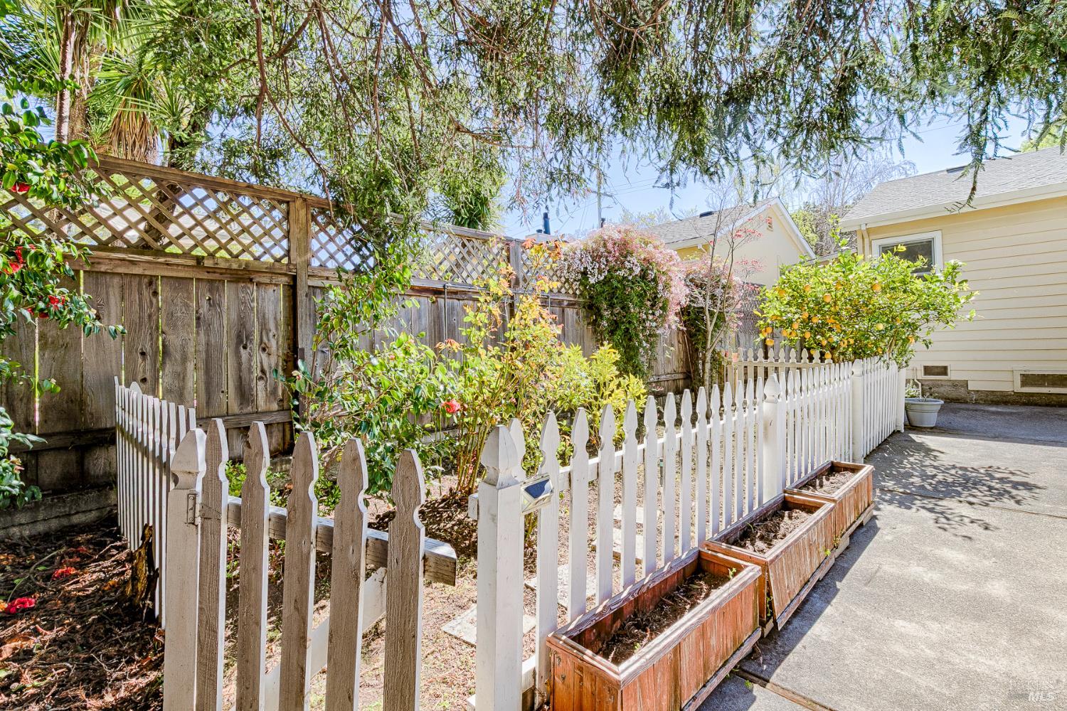 41 Meadow Avenue San Rafael CA 94901